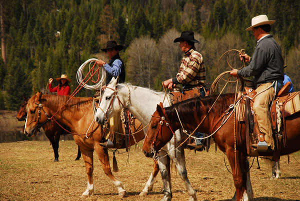 McGinnis Meadows Cattle Ranch in Montana